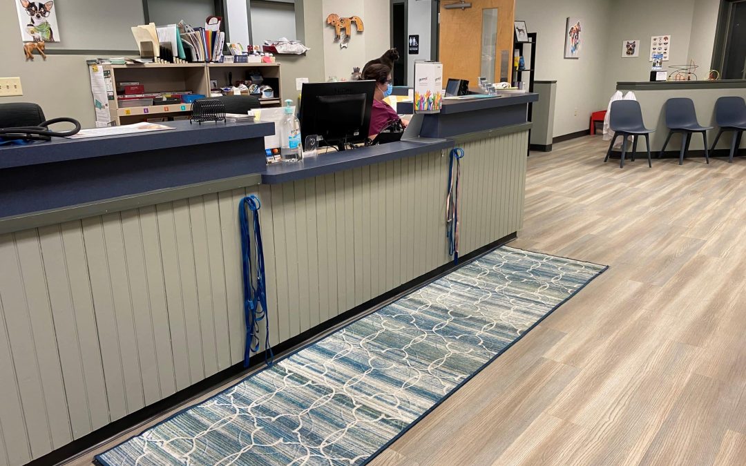 Renovations for Pine Creek Animal Hospital Underway