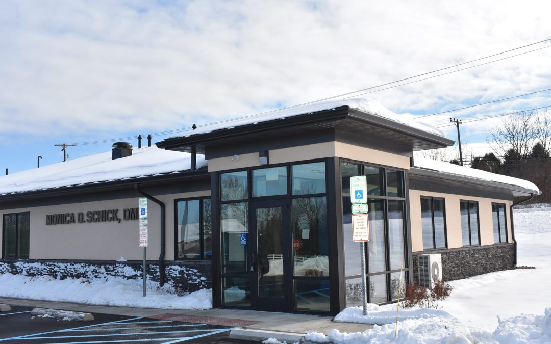 DESCCO Delivers: An Interview with Design and Construction Client, Monica Schick, DMD