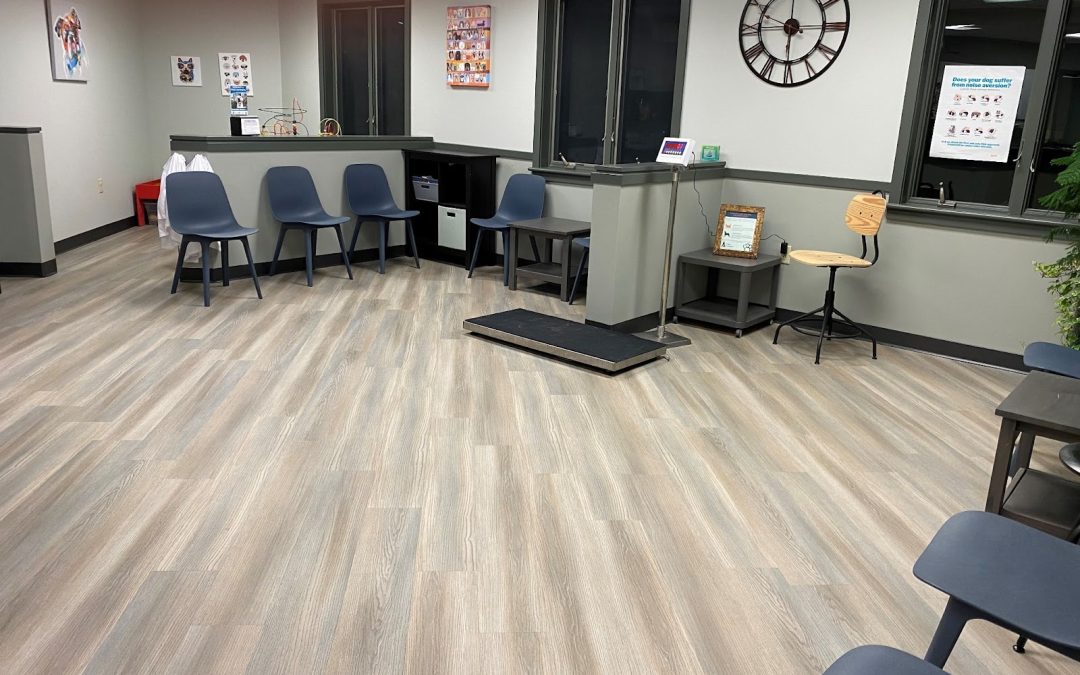 Pine Creek Animal Hospital | DESCCO Design & Construction