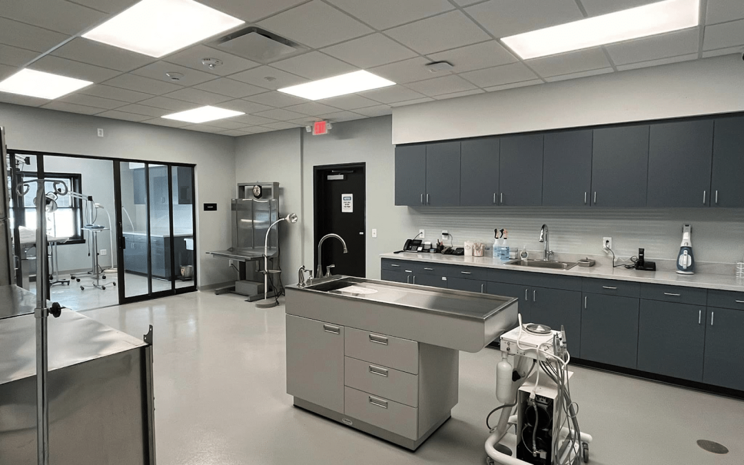 Tips for Remodeling Your Veterinary Clinic