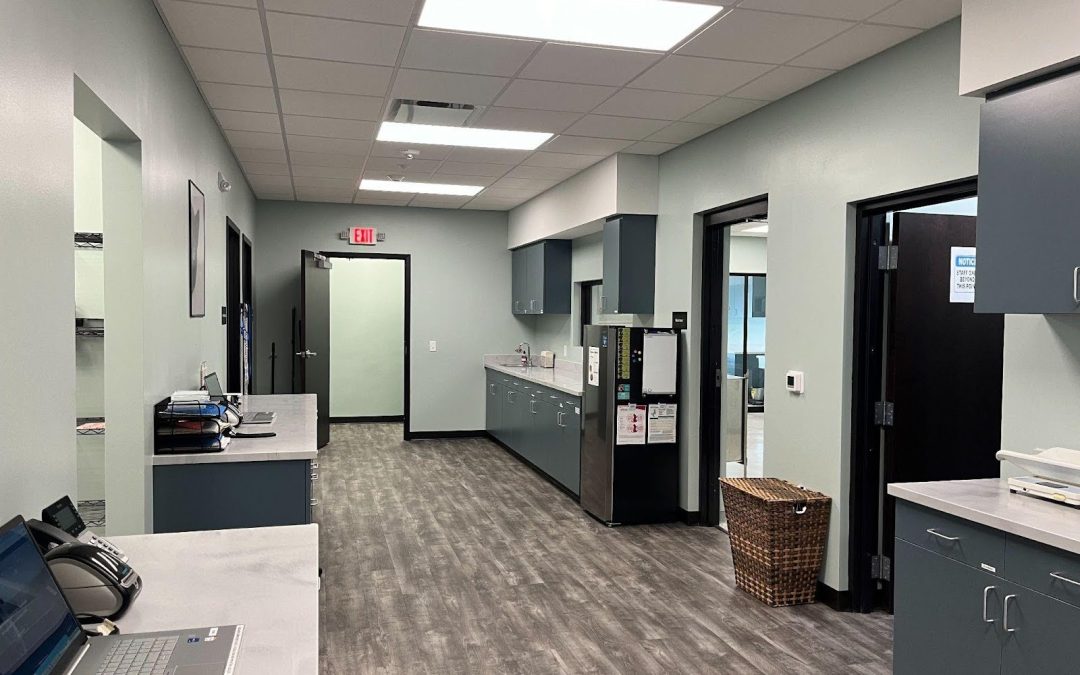 Handling Regulations in Healthcare and Vet Construction