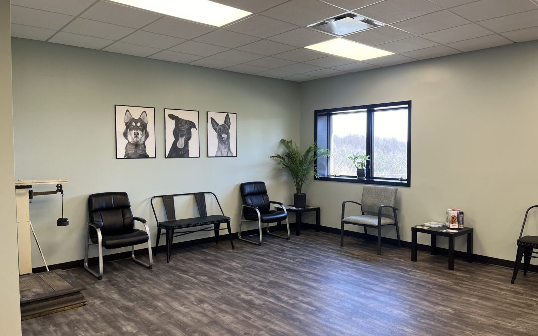 The Role of Specialty Contractors in Medical and Veterinary Facility Projects