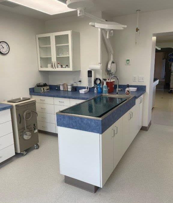 Why Vet Facility Design Requires Specialized Expertise