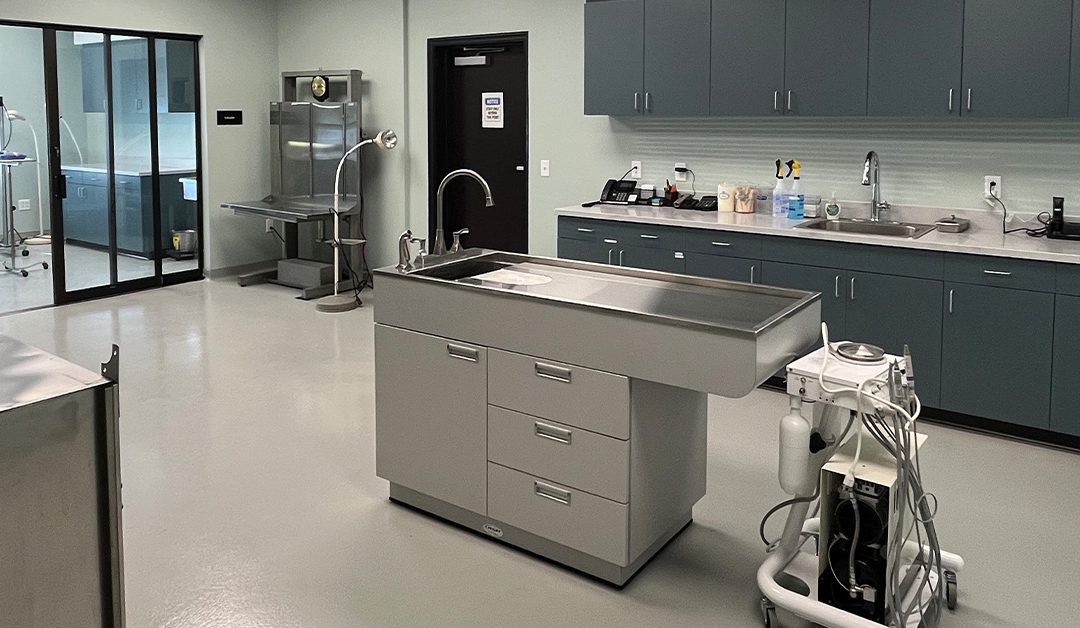 WILLOW CREEK EQUINE VETERINARY SERVICES